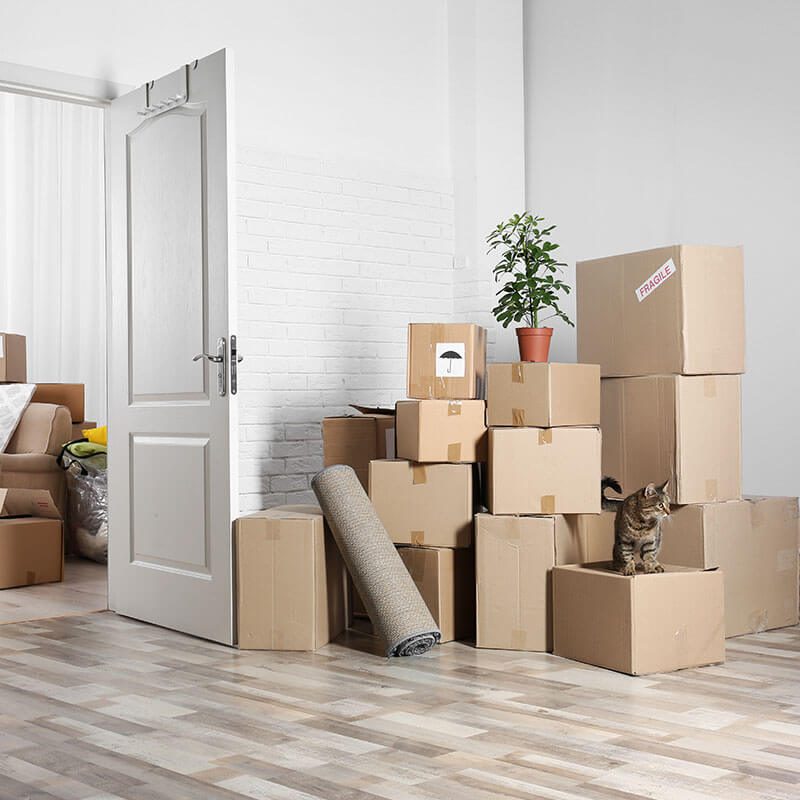 Eşya taşıma için gerekli evraklar ve süreçler : Kapak Görseli